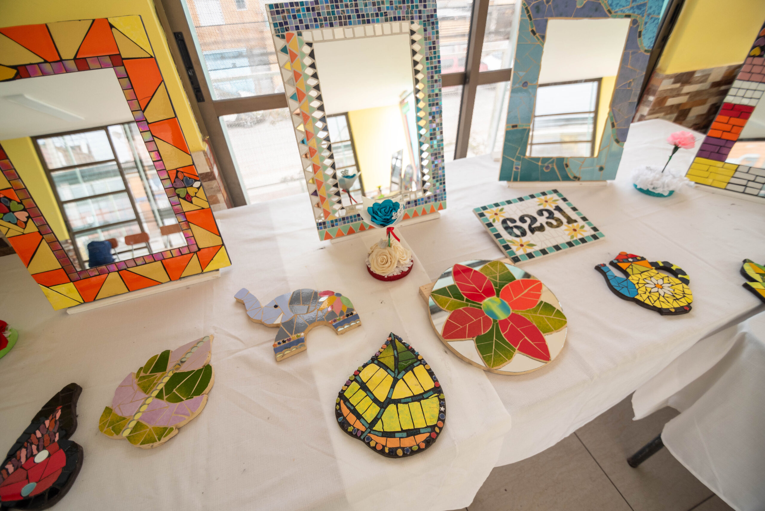 Registro Actividad Junta de Vecinos Pedregal AdaptaClima-6